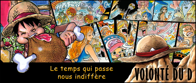 Drapeau Pirate Luffy (One Piece) - Taverne du Pirate